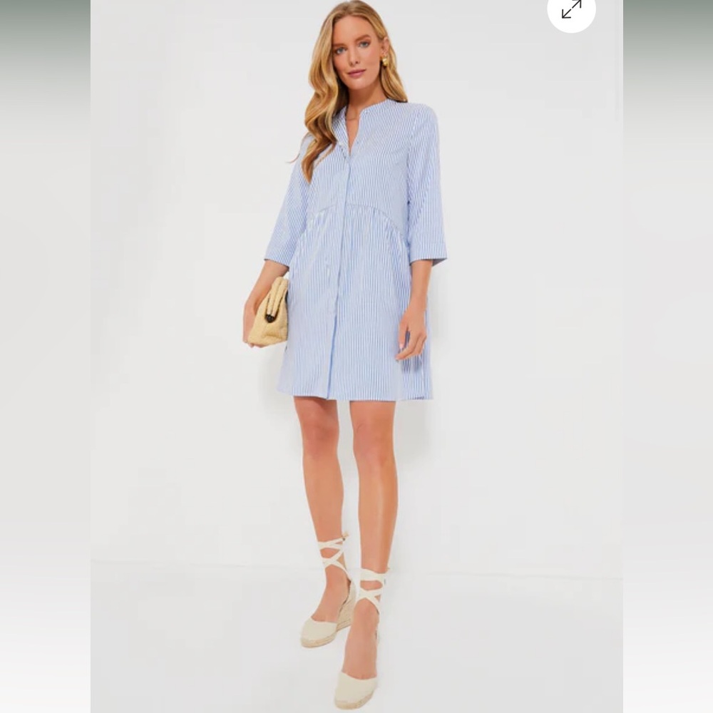 Tuckernuck Royal Shirt Dress